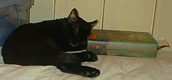 Salem curls up with a good book -- Harry Potter 4